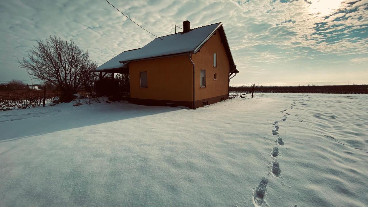 Villa Kuca Za Odmor Brzica Erdut Exterior foto
